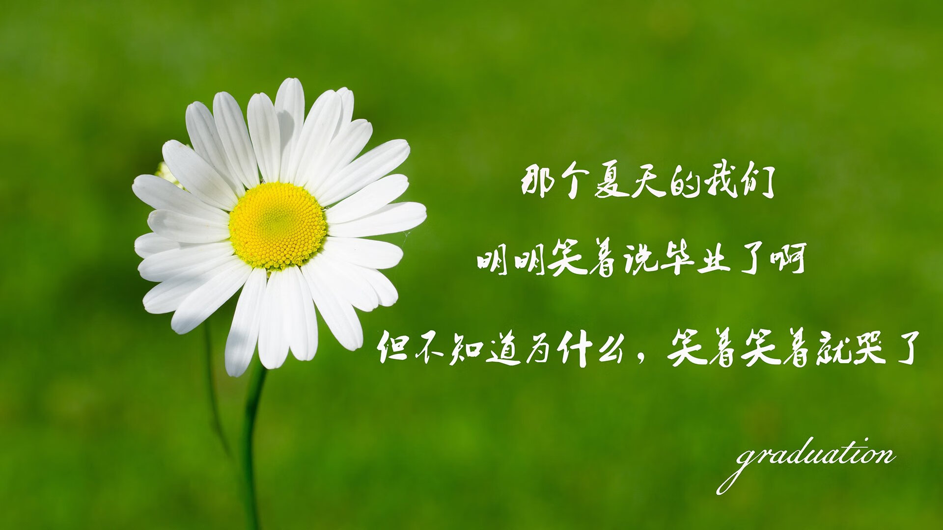 LCK目标锁定世界冠军，lck哪三支队伍进世界赛