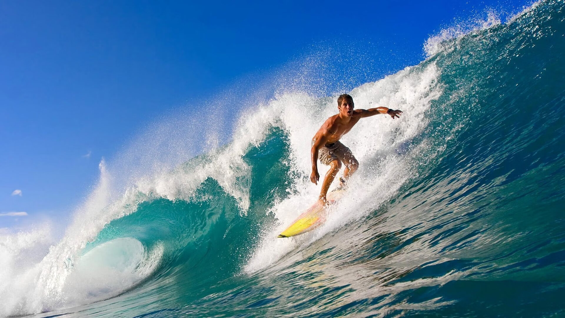 《【幕后揭秘】职业选手训练的科学化与系统化》，职业选手训练室图片